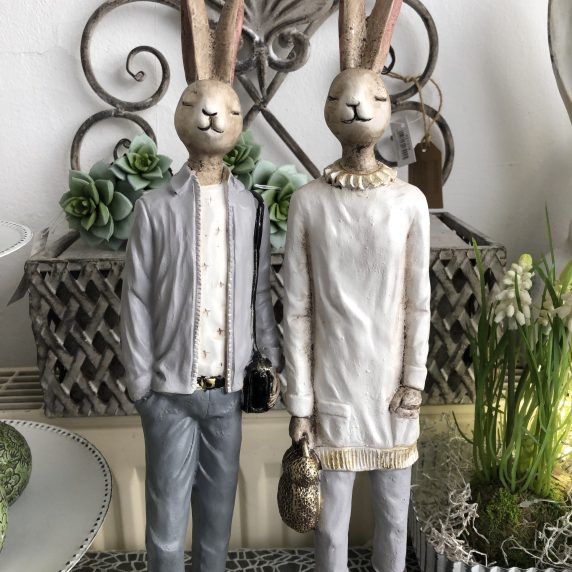 Elegantes Hasen Paar