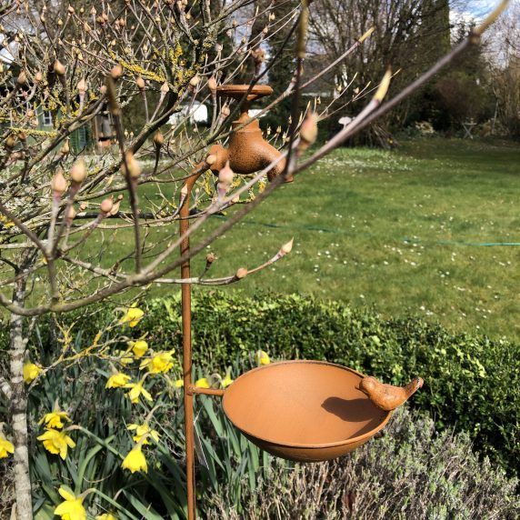 Vogelträncke aus Eisen zum Stecken rost