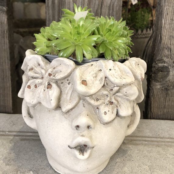 Pflanzbüste aus Zement