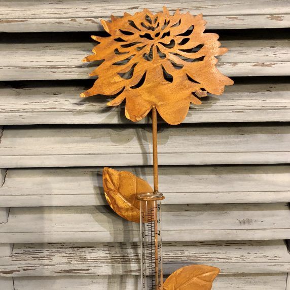 Regenmesser Blume rost