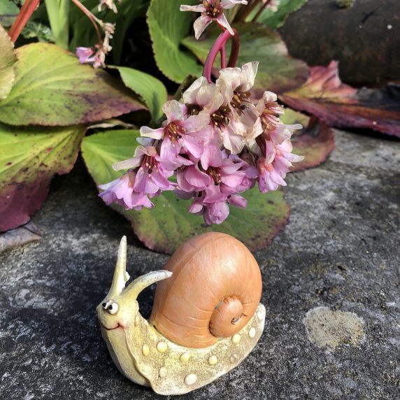 Schnecke aus Keramik